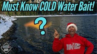 The Secret to Winter Bass Fishing! (Sneaky Bait!)