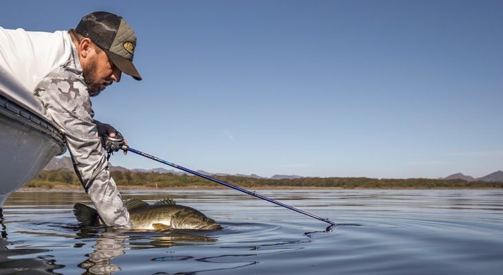 For fans of new fishing gear, fall is often the best time of year. Many new products unveiled at July&rsquo;s ICAST event are beginning to hit the shelves and are ready to be purchased and put to work on the water. The Fisherman&rsquo;s Warehouse stores are receiving new items daily, including rods from St. Croix and Daiwa; all are sure to be big hits.
The new rods include the Victory and Legend Bass rods from St. Croix and Daiwa saltwater rods and the Proteus saltwater and Beefstick surf rods.
&nbsp;