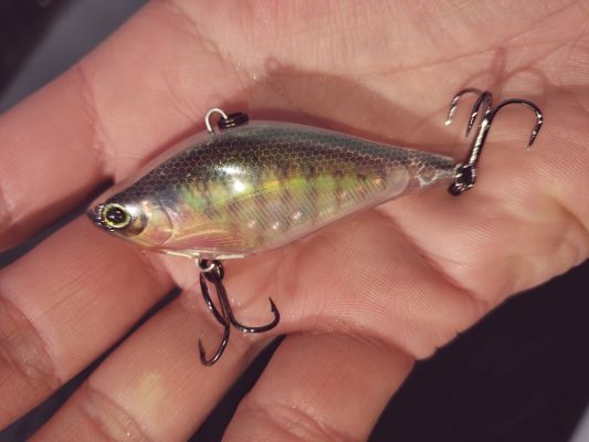 3DR Finish
All of the 3DR baits are built for clear water situations. All of the finishes are &ldquo;real&rdquo; looking and match the muted tones of actual forage instead of having bright and unnatural looking color options. This one pictured is the Real Bluegill.
&nbsp;