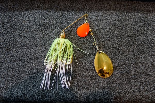 Selecting the Right Spinnerbait Variation for the Conditions at Hand