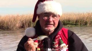 Crankbait for Bass with Bobby Barrack | Storm Arashi Sale at Fishermans Warehouse