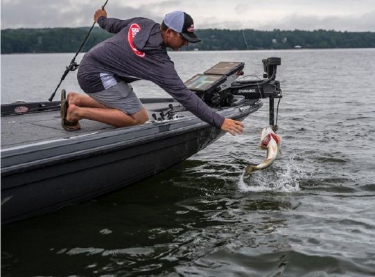 Berkley PowerBait AdditionsNew size to The Champ Craw and new colors to popular The General, Chigger Craw and Crazy Legs Chigger Craw&nbsp;Berkley continues to improve on its legendary PowerBait lineup by adding colors and a new size to some of its most popular bass baits that fish hold onto longer.