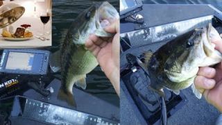 New Melones Bass Fishing, Fast limits