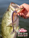 2019 Berkley