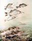 Angling Boosted By Sport Fish Restoration Funds