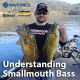 Understanding Smallmouth