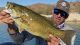 2022 US Open of Bass Fishing Lake Mohave