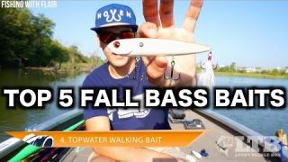 Top 5 Fall Baits