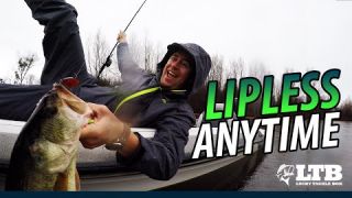 Tackle How-To: Lipless Crankin' Anytime #Daiwa