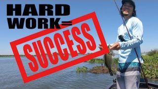 California Delta Hard Work Bass Fishing Searching for Success VIDEO