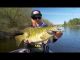 Yo-Zuri Freshwater Crystal Minnow