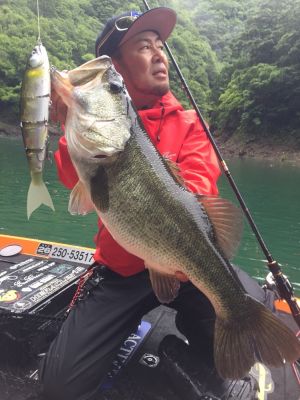 When and Where for the Balam 300
Like most big-fish techniques, swimbaits shine when big bass are feeding on big forage and when push shallow to spawn.
This is when many of Shimada's big fish have happened, but it will work other times of the year. "My best success is after a long winter when the fish are hungry, and most of the big ones are up shallow," he said.
He also looks for high-percentage areas like bridge pilings, trees, and rocky banks. In his many YouTube videos, he can be seen tight to the bank with his boat nearly on the shore as he parallels bluffs, rocks, and above submerged trees.
"The Balam is a lure that excels when you approach points where the bass should be located at and retrieved at super ultra-high speeds," said Shimada, who has learned to anticipate when strikes will occur and how he can use a fast retrieve speed to his advantage.
READ RELATED: How Josh Parris Catches Big Ones at the Delta

&nbsp;