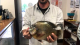 Record Bluegill Caught this Week