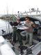 When do albacore tuna come through California waters?