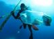 NOAA Marine Sanctuary Fishing Contest