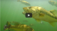 Craziest Underwater Bass Fishing Footage EVER! Whopper Plopper