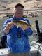 Lake Oroville Bassin'