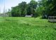 Biologists Wrestle Alligator Weed