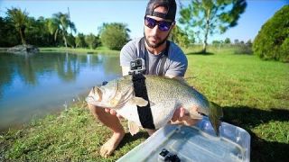 GOPRO Strapped On 12lb Largemouth BASS!!