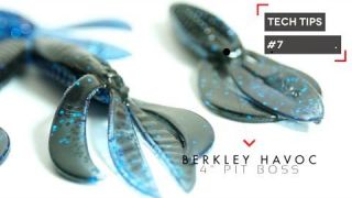 Tackle How-To: Fishing Reeds with Soft Plastics Creature Baits