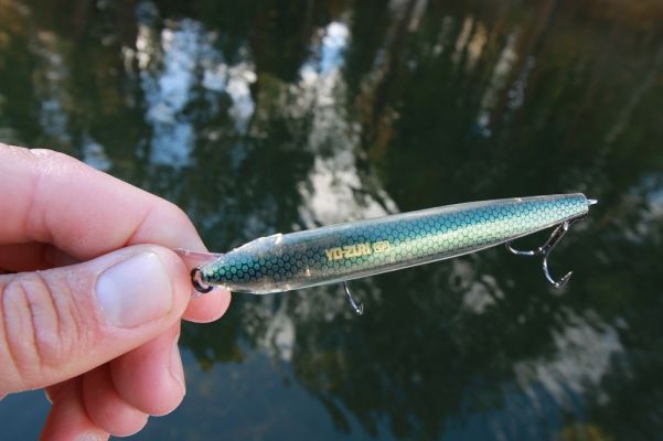 Flat Side
The flat sides of this bait give it tons of flash and help to give it a unique slashing and darting action under the surface.
Yo-Zuri calls it a &ldquo;Rolling / Darting jerkbait&rdquo; and it does that. The action is erratic and unpredictable and the bait suspends at rest.
&nbsp;