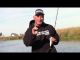 Heddon and Cotton Cordell | Fall Topwater Bite is On! Bobby Barrack for Fisherman's Warehouse