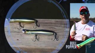 Yo-Zuri Bull Popper with Mark Davis