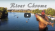 Sacramento River King Salmon VIDEO