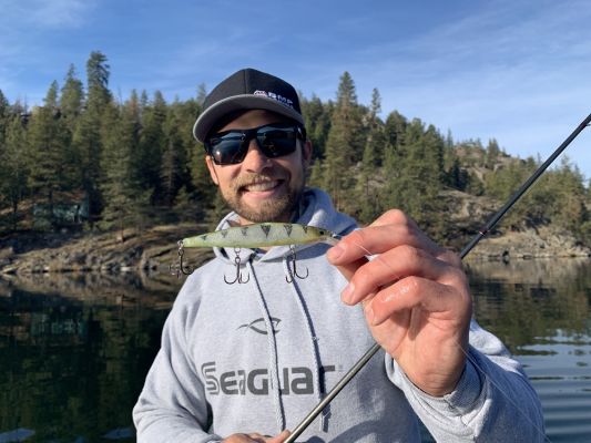 Jerkbaits
Another typical bait for Palaniuk this time of year is the jerkbait and he says it has been working great.
"Since it is a lot clearer than normal, this year has been even better for a jerkbait," Palaniuk said. "Any time the water level is moving up or down, some of those fish tend to pull off the bank and suspend. That is where the jerkbait is so good."
He's been fishing the&nbsp;Rapala Shadow Rap&nbsp;Deep and focusing in that same depth range, just off of the first significant drop into deeper water.
READ RELATED: How-To Tokyo Rig Like Iaconelli
&nbsp;