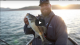 We Struck Gold & Found Tournament Winning Fish on Lake Oroville VIDEO