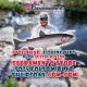 American River Season-Opener Jan 1