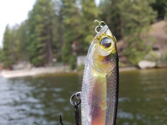 The Pencil, in all of Yo Zuri&rsquo;s different lineups, is one of the most popular and effective lures they produce. It walks with ease and has no issue when casting directly into winds thanks to the rear weight transfer system. It is aerodynamic and has a great action above the surface.
3DR Series
The 3DR (3D Real Series) lineup are some of the most beautiful hard baits you will find. They all feature an internal 3D prism to make them very bright and reflective, and all of the colors perfectly imitate bass forage.
They excel in clear water and pressured situations.
READ RELATED: Japanese Glide Bait | Here&rsquo;s What You Need to Know About the Ninja Glider