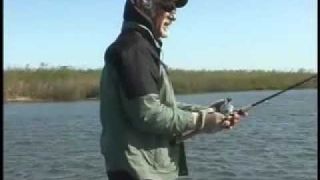 Paddle Tail Swimbaits