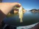 Fishing Oroville Lake This Week | July