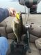 Rat-L-Trap Bass Tournament on Lake Guntersville, Ala., Feb. 7