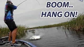 Tackle How-To: Big Bass Attacks | Willowleaf Spinnerbait TIps with Scott Martin