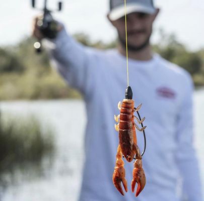 The Champ Craw
This lifelike craw imitator has plenty of uses. Lee said one of the best is when fishing for spawning bass. &ldquo;It is awesome for bedding fish because of how it looks and how the claws stand up,&rdquo; said Lee.
&ldquo;The other way I have been using it is punching. You can also rig it on a heavy Texas-Rig and just cast it to cover.&nbsp;It was designed for those two techniques, but it is a versatile craw bait,&rdquo; he said. &ldquo;It will also be good on the back of a jig because it has claws that stand up and you can bulk up your jig because of how thick the bait is.&rdquo;
Like the Champ Minnow, it comes in several great realistic colors. Lee is partial to Yummy Craw because of the orange on the belly, and he also said the HD Red Craw has a nice red tint that makes it good for punching mats.
WATCH RELATED: Rigging the Tiny Child Rig