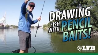 Tackle How-To: Drawing in Fish with a Pencil Bait #LTB #Yo-Zuri