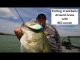 Fishing Crankbaits Around Grass with Bill Lowen