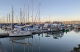 1 of top 5 kid-friendly fishing cities on West Coast is Berkeley