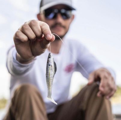 The Champ Swimmer
The final bait in the new lineup is a 4.6&rdquo; swimbait that Lee fishes both solo and as a trailer.
&ldquo;I have been fishing it on a jighead and also on a belly-weighted EWG hook. The flat top of the bait helps it sit straight on the hook, and you can fish it pretty quickly, and it won&rsquo;t roll like other swimbaits,&rdquo; shared Lee. &ldquo;When you slow roll it, it looks really good as the boot tail kicks.&rdquo;
Lee has also found himself using it quite a bit on the back of a swim jig, which is something he didn&rsquo;t initially design it for. &ldquo;I thought it would be a little too big, but it is a great size for a trailer. I like how it thumps in the water, and the whole jig shakes side to side,&rdquo; he said. &ldquo;The 4.6&rdquo; size is a great all-around size for however you want to fish it.&rdquo;
When fishing a white-colored swim jig, Lee says the HD Gizzard Shad is a nice match and when fishing a Green Pumpkin color jig, the Green Pumpkin or HD Bluegill pair perfectly. &ldquo;All of the colors came out great, and they are super realistic. They have a color to match just about any situation and forage,&rdquo; said Lee.
All of the baits listed above use Berkley&rsquo;s proven PowerBait formula that bass hold onto 18-times longer than other plastics. The list of colors includes realistic, HD colors that match all of the common forage for bass across the country.
Jordan Lee has had a meteoric rise to the top of professional bass fishing and with that success comes the ability to create signature series products for his sponsors. The Champ Minnow, The Champ Craw, and The Champ Swimmer are three of the first products he has developed in what could be a whole series of baits designed precisely to his specifications.