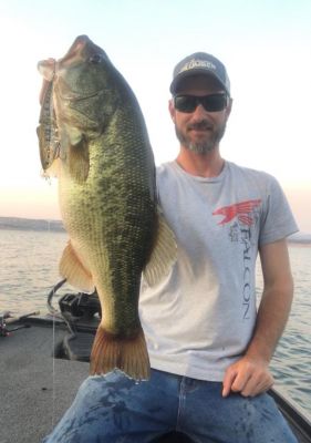 Locations and Gear
When asked what lakes he&rsquo;s had success on the Glide Fluke, Parris rattled off a lengthy list of popular California bass fisheries.
&ldquo;I&rsquo;ve done the most work with it on New Melones, but Camanche, Don Pedro, Bullards, McClure, and Berryessa have all been good. I like to fish it over rock piles, suspended trees, on boat ramps, and around bridge pilings,&rdquo; he added.
He&rsquo;s a believer in using a crankbait rod, both working the bait and a better landing percentage.
&ldquo;I use a 7&rsquo;4&rdquo; medium-heavy deep cranking rod for the bigger one and a 7&rsquo;3&rdquo; cranking rod for the smaller one. The rod loads better and hooks more of those fish that come up and slash at it, which happens a lot,&rdquo; he shared.
He&rsquo;ll fish them on a 7.1:1 reel with 10 to 12-pound fluorocarbon for the 125 and 17 to 20-pound for the 178.
The ima Glide Fluke is much more than a glide bait. It can be fished like one, but it can be fished quickly to entice bass throughout the water column.
READ RELATED: 6 Ways to Fish a Glide Fluke