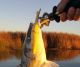 Stripers are Bitin'