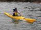 Aquatic Invasive Species Check for Kayaks