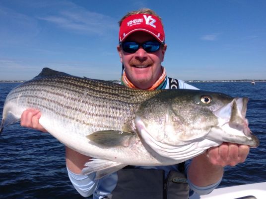 The striped bass is one of America&rsquo;s favorite fish species. They are a common target on both coasts and can be found in many inland lakes throughout the country.&nbsp;
While the species is the same, there are some regional differences for targeting them. Capt. John Luchka of Long Run Fishing Charters out of Point Pleasant Beach, NJ and California&rsquo;s Capt. Manuel Saldana Jr. of MSJ Guide Service share how they catch big stripers.
Temperature Triggers for the Spring Run
Both Saldana, Jr. and Luchka stated that the striped bass are heavily influenced by water temperature.
Coastal fish spend much of their lives in saltwater and come to freshwater to spawn. The runs to the fresh water can be some of the best fishing of the year and when it happens comes down to water temperature and salinity.
READ RELATED: 6 Best Yo-Zuri and Duel Hard Baits for Cold Water Bass