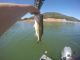 Fishing Report Oroville Lake This Week | June 6