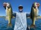 Lake Camanche Fishing for May