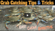 Easy Way To Catch Tons Of Blue Crabs Without A Trap | Tutorial!