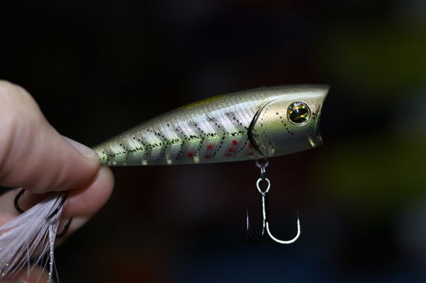 Sexy Minnow ima Finesse Popper
This color has a translucent body with minnow-like coloring. It is a top performer when bass are feeding on minnows in clear water.
&nbsp;