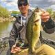Fishing Laydowns for Fall Bass